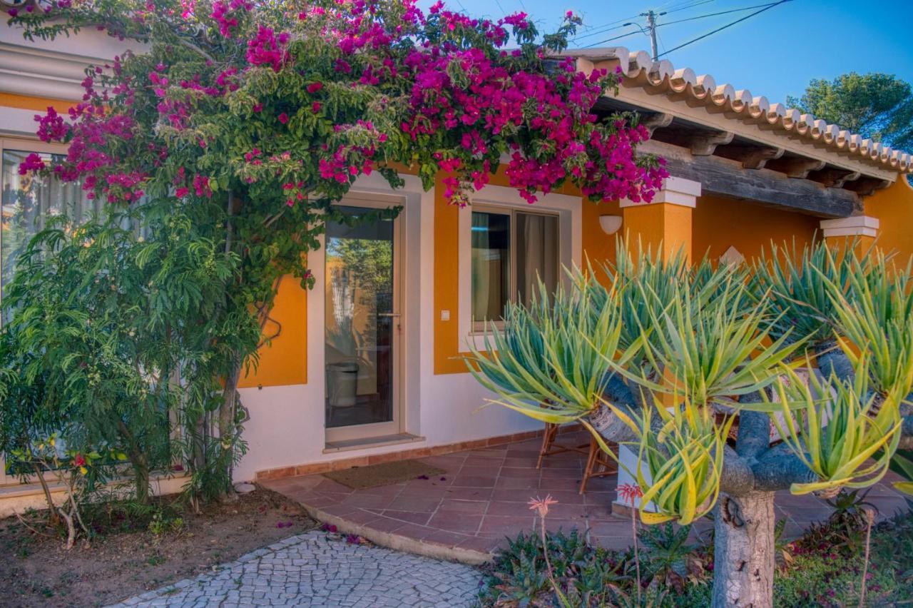 Moonshine Guest House With Private Studios And Private Cottage 라고스 외부 사진